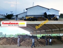 30 Pabrik Tapioka di Lampung Ikuti Intruksi Gubernur No 2 Tahun 2025 Soal Harga Ubi Kayu.