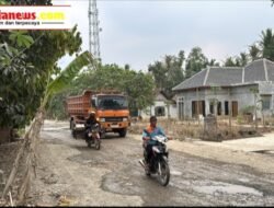 Kepentingan Kontraktor di Sekitaran Kekuasaan di Lampung, Benarkah Menghambat Pembangunan Ruas Jalan Bandarsari-Payungrejo?.