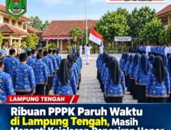 Lebih dari 2.000 Guru dan Tendik PPPK Paruh Waktu di Lampung Tengah Belum Terima Honor Juni-Agustus Gaji ke-13 juga belum direalisasikan, pencairan tanpa kepastian.