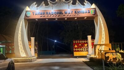 “PT. HARMONI ALAM GROUP” Ikut Berperan dalam Mengangkat Nama Provinsi Lampung melalui Konservasi Gajah